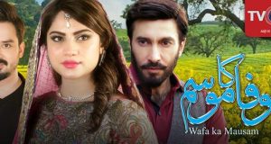 Drama Wafa Ka Mausam Review