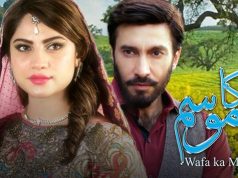 Drama Wafa Ka Mausam Review